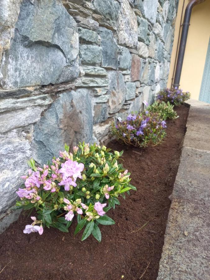 Punta Vittoria Sub 14 - Residence Anderbatt Gressoney - 3 Locali - Cir N 0010 Staval エクステリア 写真